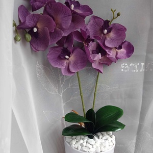 Orchidea asztaldísz kaspóban, Otthon & Lakás, Dekoráció, Asztal és polc dekoráció, Asztaldísz, Virágkötés, MESKA