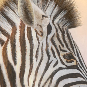 Zebra olaj festmény művészeti nyomat  - művészet - festmény - akril - Meska.hu