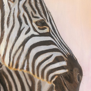 Zebra olaj festmény művészeti nyomat  - művészet - festmény - akril - Meska.hu