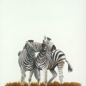 Két zebra olaj festmény művészeti nyomat  - művészet - festmény - akril - Meska.hu