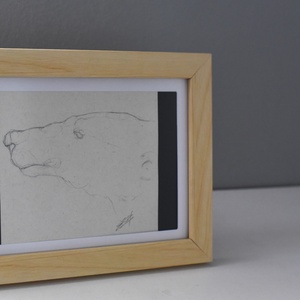 Jegesmedve grafit rajz - művészet - grafika & illusztráció - ceruzarajz - Meska.hu