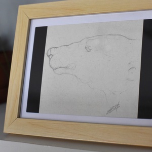 Jegesmedve grafit rajz - művészet - grafika & illusztráció - ceruzarajz - Meska.hu