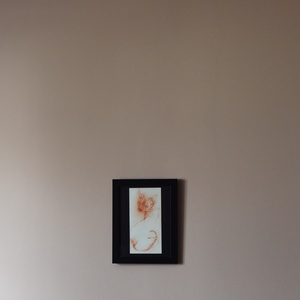 Macska rajz vörös művészceruzával - művészet - grafika & illusztráció - ceruzarajz - Meska.hu