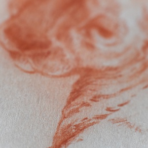 Macska rajz vörös művészceruzával - művészet - grafika & illusztráció - ceruzarajz - Meska.hu