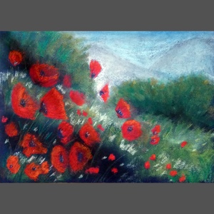 Domboldal pipacsokkal - Meska.hu