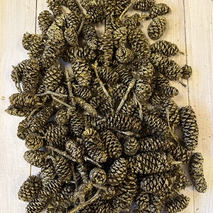 Termés arany E/37, Kellékek & szerszámok, Dekorációs kellékek, Termések, terméscsomagok, Mindenmás, MESKA