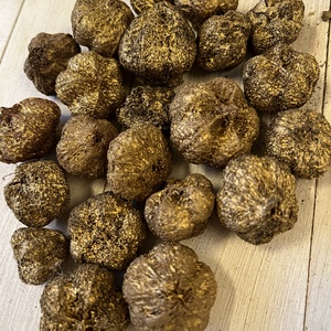 Termés arany E/38, Kellékek & szerszámok, Dekorációs kellékek, Termések, terméscsomagok, Mindenmás, MESKA