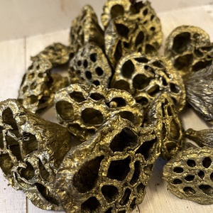 Termés arany E/39, Kellékek & szerszámok, Dekorációs kellékek, Termések, terméscsomagok, Mindenmás, MESKA