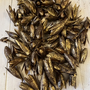 Termés arany E/40, Kellékek & szerszámok, Dekorációs kellékek, Termések, terméscsomagok, Mindenmás, MESKA