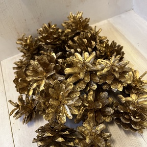 Termés toboz E/42, Kellékek & szerszámok, Dekorációs kellékek, Termések, terméscsomagok, Mindenmás, MESKA