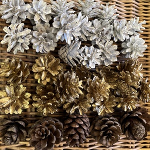 Termés toboz E/43, Kellékek & szerszámok, Dekorációs kellékek, Termések, terméscsomagok, Mindenmás, MESKA