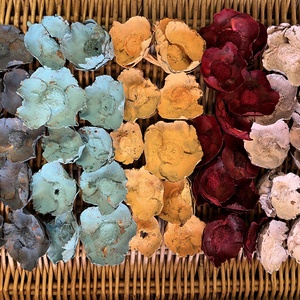 Színes termés E/48, Kellékek & szerszámok, Dekorációs kellékek, Termések, terméscsomagok, Mindenmás, MESKA