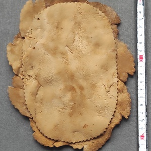 Velúr bőr falikép / asztaldísz  - otthon & életmód - dekoráció - fali és függő dekoráció - falra akasztható dekor - Meska.hu