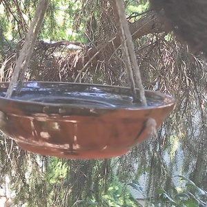 Madáritató / madáretető - otthon & életmód - ház & kert - madáretető & itató - Meska.hu