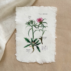 Botanikai print - Benedekfű - Meska.hu