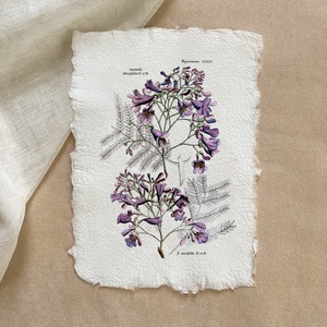 Botanikai print - Zsakaranda, Otthon & Életmód, Dekoráció, Kép & Falikép, Poszter, Papírművészet, MESKA