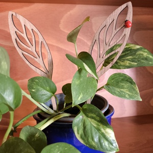 Húsvéti nyuszifül beszúró katicabogárral - Meska.hu