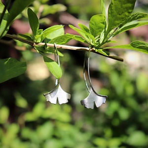 Ginkgo biloba, mattírozott, női ezüst fülbevaló pár (EGK.11) - ékszer - fülbevaló - lógó fülbevaló - Meska.hu
