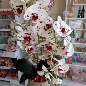 Pöttyös gondozás mentes orchidea asztaldísz , Otthon & Lakás, Dekoráció, Kép & Falikép, Képkeret, Mindenmás, MESKA