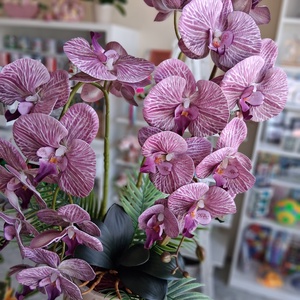 Gumi orchidea asztaldísz  - otthon & életmód - dekoráció - asztal és polc dekoráció - asztaldísz - Meska.hu