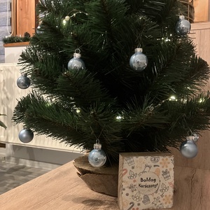 Mini fa dekoráció / Boldog Karácsonyt felirat - karácsony - karácsonyi lakásdekoráció - karácsonyi lakásdíszek - Meska.hu