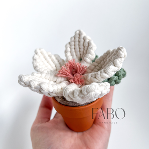 Fehér-rózsaszín makramé virág dísz igazi agyagcserépben - otthon & életmód - virágdekoráció - virágdíszek - asztali virágdísz - Meska.hu