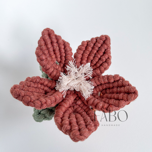 Terrakotta-bézs színű makramé virág dísz igazi agyagcserépben - otthon & életmód - virágdekoráció - virágdíszek - asztali virágdísz - Meska.hu