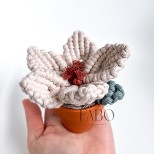 Bézs-terrakotta színű makramé virág dísz igazi agyagcserépben, Otthon & Életmód, Virágdekoráció, Virágdíszek, Asztali virágdísz, Csomózás, Ez a makramé technikával készített örökvirág ugyan nem illatozik, de cserébe sok-sok éven keresztül..., MESKA