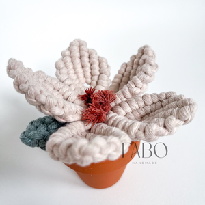 Bézs-terrakotta színű makramé virág dísz igazi agyagcserépben - otthon & életmód - virágdekoráció - virágdíszek - asztali virágdísz - Meska.hu