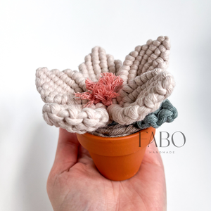 Bézs-rózsaszín színű makramé virág dísz igazi agyagcserépben, Otthon & Életmód, Virágdekoráció, Virágdíszek, Asztali virágdísz, Csomózás, Ez a cserepes makramé örökvirág ugyan nem illatos, de cserébe sok-sok éven át szépen virágzik! :)

..., MESKA