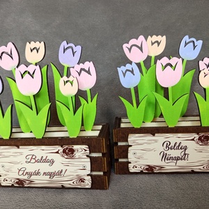 Gondozásmentes virágláda nőnapra, anyák napjára vagy csak úgy - Meska.hu