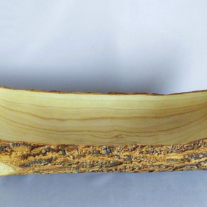 Fa Kerti nagyméretű ritkaság fatörzs egyedi vízhatlan fargott tál tálca extra large  - otthon & életmód - ház & kert - kerti bútor - Meska.hu