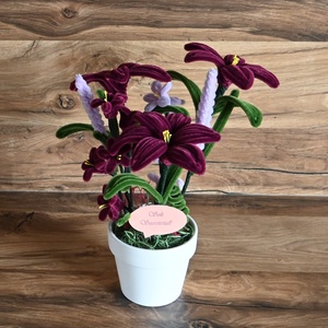 Cserepes zsenília liliom örökvirág, Otthon & Életmód, Virágdekoráció, Virágdíszek, Virágdísz kaspóban, Virágkötés, MESKA