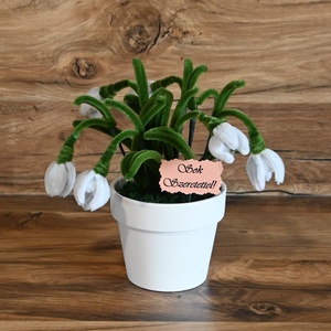 Cserepes zsenília levendula, hóvirág örökvirág!  - otthon & életmód - virágdekoráció - virágdíszek - virágdísz kaspóban - Meska.hu