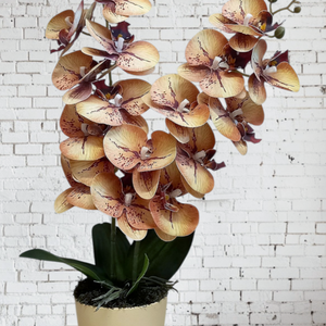 Orchidea kerámia kaspóban  - Meska.hu
