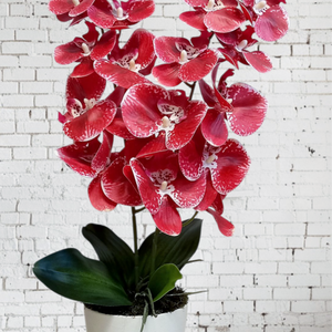 Orchidea kerámia kaspóban  - otthon & életmód - dekoráció - asztal és polc dekoráció - asztaldísz - Meska.hu