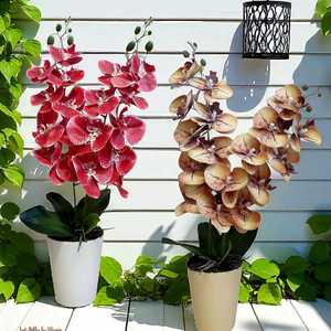 Orchidea kerámia kaspóban  - Meska.hu