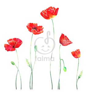 Pipacsok akvarellel - falmatrica -  - Meska.hu