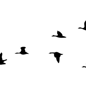 Vadlibák falmatrica - Meska.hu