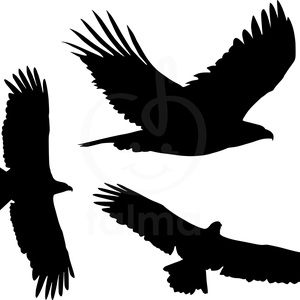 Matrica a madarak védelméért - Meska.hu