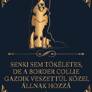 Tökéletes BORDER COLLIE GAZDIK - vászonkép, Otthon & Életmód, Dekoráció, Kép & Falikép, Vászonkép, Fotó, grafika, rajz, illusztráció, MESKA