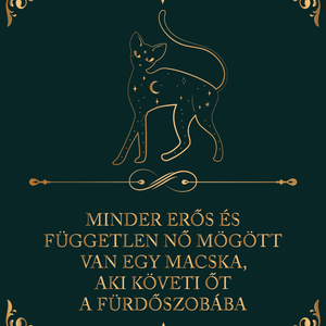 Minden nő mögött van egy macska... - cicás vászonkép idézettel, Otthon & Életmód, Dekoráció, Kép & Falikép, Vászonkép, Fotó, grafika, rajz, illusztráció, MESKA