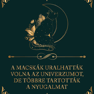 A macskák uralhatták volna az univerzumot... - cicás vászonkép idézettel, Otthon & Életmód, Dekoráció, Kép & Falikép, Vászonkép, Fotó, grafika, rajz, illusztráció, MESKA