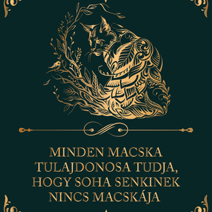 ...soha senkinek nincs macskája - cicás vászonkép idézettel, Otthon & Életmód, Dekoráció, Kép & Falikép, Vászonkép, Fotó, grafika, rajz, illusztráció, MESKA