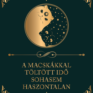A macskákkal töltött idő sohasem haszontalan - cicás vászonkép idézettel, Otthon & Életmód, Dekoráció, Kép & Falikép, Vászonkép, Fotó, grafika, rajz, illusztráció, MESKA