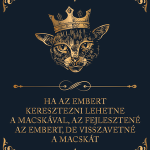 Ha az embert keresztezni lehetne a macskával... - cicás vászonkép idézettel, Otthon & Életmód, Dekoráció, Kép & Falikép, Vászonkép, Fotó, grafika, rajz, illusztráció, MESKA
