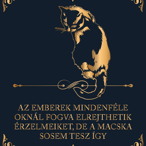 A macskák érzelmei - cicás vászonkép idézettel, Otthon & Életmód, Dekoráció, Kép & Falikép, Vászonkép, Fotó, grafika, rajz, illusztráció, MESKA