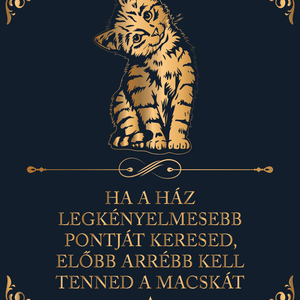 ...arrébb kell tenned a macskát - cicás vászonkép idézettel, Otthon & Életmód, Dekoráció, Kép & Falikép, Vászonkép, Fotó, grafika, rajz, illusztráció, MESKA