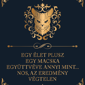 ÉLET + MACSKA - cicás vászonkép idézettel, Otthon & Lakás, Dekoráció, Kép & Falikép, Vászonkép, Fotó, grafika, rajz, illusztráció, Meska