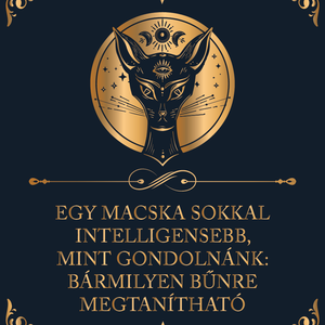 MACSKA-INTELLIGENCIA - cicás vászonkép idézettel, Otthon & Életmód, Dekoráció, Kép & Falikép, Vászonkép, Fotó, grafika, rajz, illusztráció, MESKA